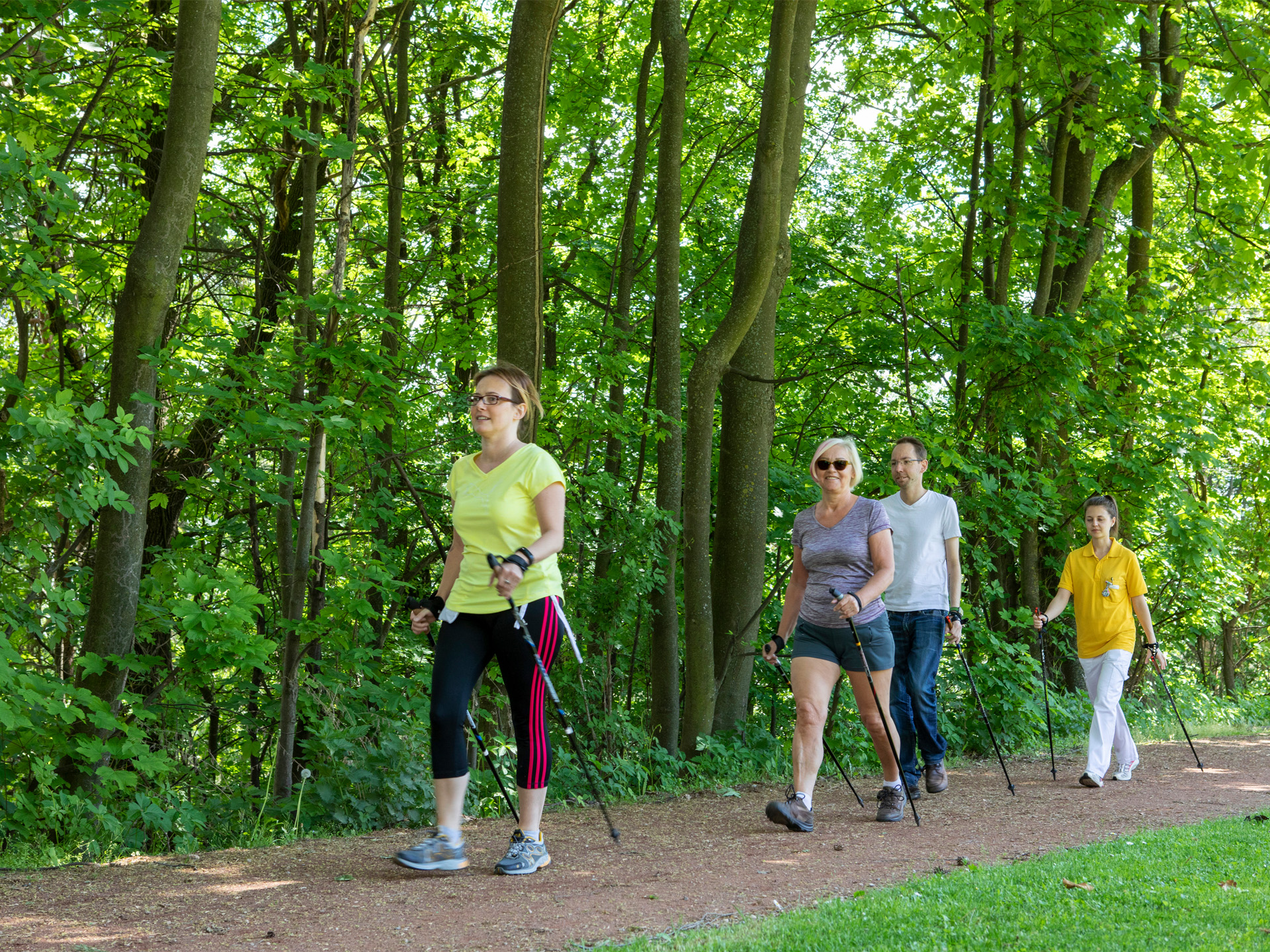 Menschen beim Nordic Walking im Wald